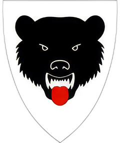 Flå kommune